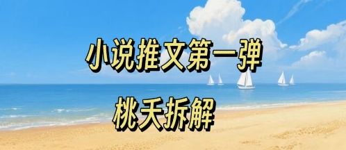 小说推文项目操作全流程第一弹，0粉就能做，门槛低非常适合新手-新时光资源网