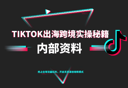 TikTok跨境电商0-1搭建运营(更新10月)-新时光资源网