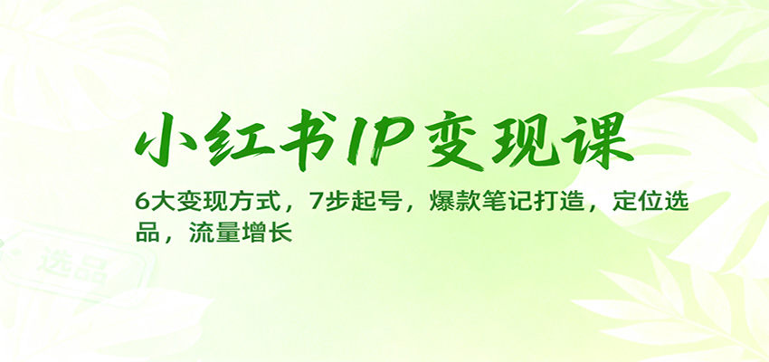 小红书IP变现课：6大变现方式，7步起号，爆款笔记打造，定位选品，流量增长-新时光资源网