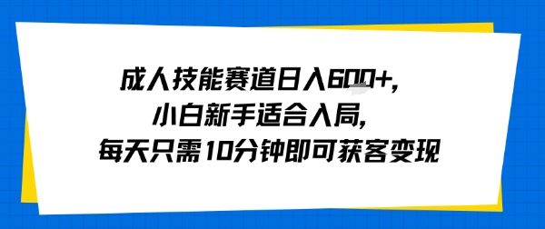 成人技能赛道日入多张，小白新手适合入局，每天只需10分钟即可获客变现-新时光资源网