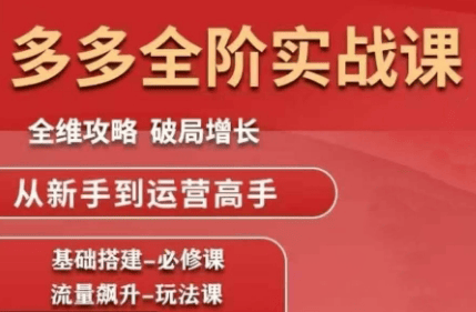 大炮·拼多多全阶实战课程(更新2026)-新时光资源网