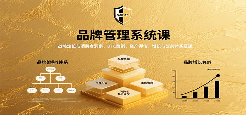 品牌管理系统课：战略定位与消费者洞察，DTC案例、资产评估，增长与公关体系搭建-新时光资源网