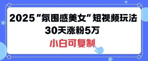 不露脸也能火！2025“氛围感美女”短视频玩法，30天涨粉5W小白可复制-新时光资源网