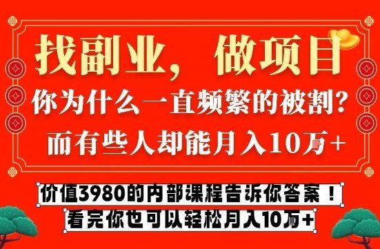 价值3980的网创内部课程，告诉你互联网创业月入10个W的秘密【揭秘】-新时光资源网