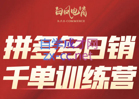 白凤电商·拼多多日销千单训练营(更新8月)-新时光资源网