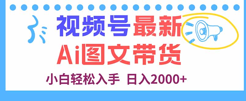 视频号最新AI图文带货，每天几分钟，小白轻松入手，日入2000+-新时光资源网