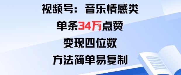 视频号分成计划新玩法：音乐情感类单条34W点赞，变现四位数，方法简单易复制-新时光资源网