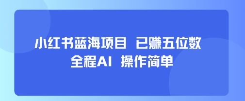 小红书蓝海项目，全程AI，操作简单，已挣五位数-新时光资源网