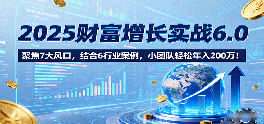 2025财富增长实战6.0,聚焦7大风口,结合6行业案例,小团队轻松年入200万!-新时光资源网