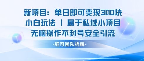 新项目单日即可变现3张的小白玩法无脑操作不封号安全引流-新时光资源网