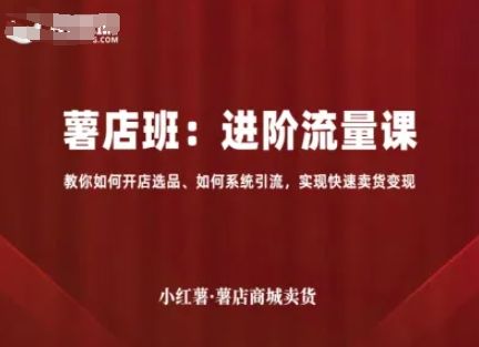 小红薯薯店商城卖货，进阶流量课，教你如何开店选品、如何系统引流，实现快速卖货变现-新时光资源网