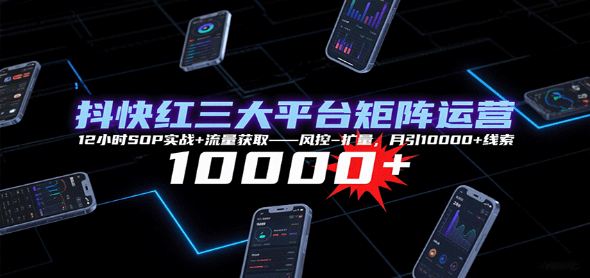 抖快红三大平台矩阵运营，12小时SOP实战+流量获取-风控-扩量，月引10000+线索-新时光资源网