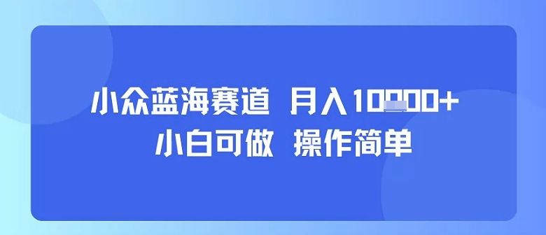小众蓝海赛道，小白可做，操作简单，每天30分钟，月入1W+-新时光资源网