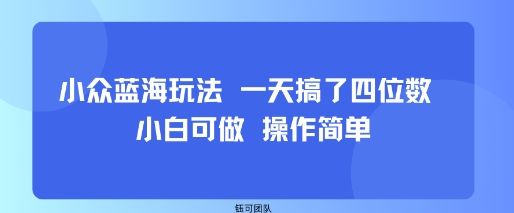 小众蓝海玩法 一天搞了四位数 小白可做 操作简单-新时光资源网