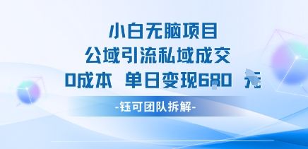 小白无脑项目公域引流私域成交0成本单日变现680米-新时光资源网