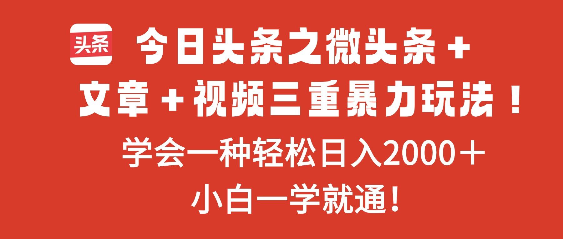 今日头条之微头条+文章+视频三重暴力玩法,学会一种轻松日入2000+,…-新时光资源网