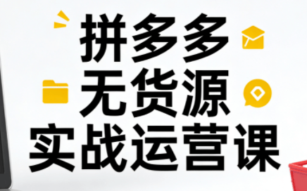 子枫老师·拼多多无货源实战运营课(更新12月)-新时光资源网