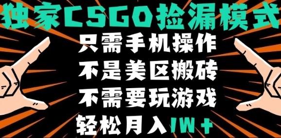CSGO自动捡漏项目，最新独家玩法，不是美区搬砖，不需要了解和玩游戏，新手小白轻松月入1W+【揭秘】-新时光资源网