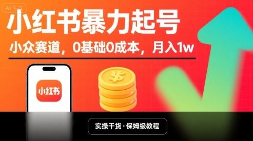 小红书暴力起号，小众赛道，0基础0成本，月入1w-新时光资源网