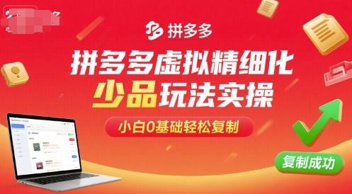 拼多多虚拟精细化少品玩法实操，小白0基础轻松复制-新时光资源网