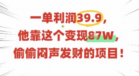 一单利润39.9，有人靠这个变现几十个，偷偷闷声发财的项目-新时光资源网
