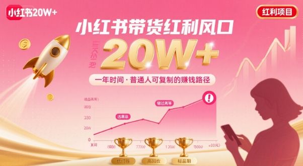 一年时间靠小红书带货项目年入20w+，最不能错的大红利项目-新时光资源网