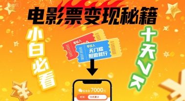小白必看！卖电影票项目，零投入无门槛谁都能做，十天到手 7k，照做就行【揭秘】-新时光资源网