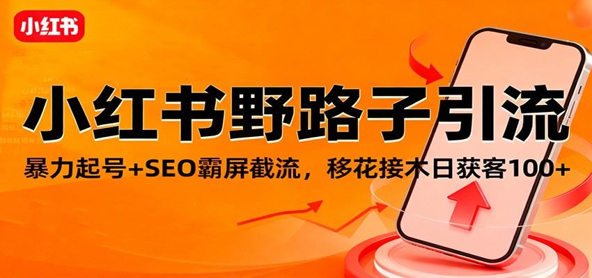小红书野路子引流，暴力起号+SEO霸屏截流，移花接木日获客100+-新时光资源网