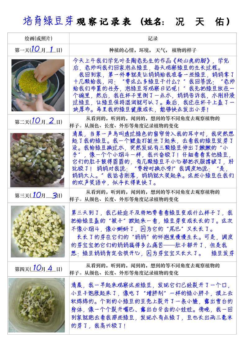 四上语文习作三：培育绿豆芽观察日记2《写观察日记》4页-新时光资源网