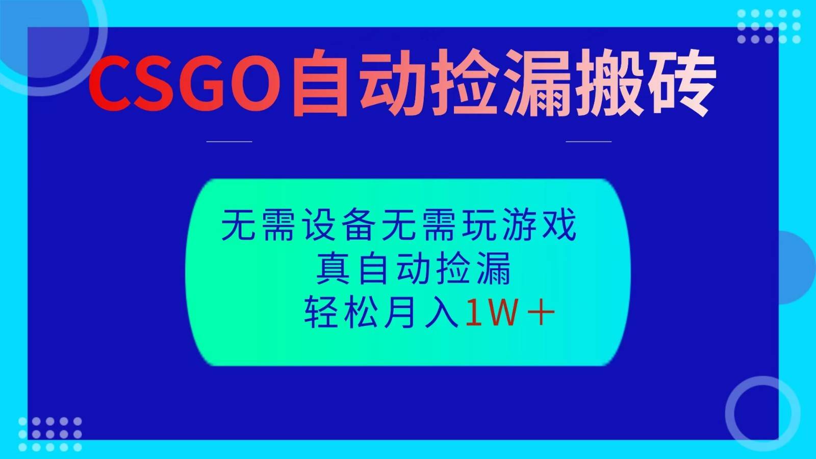 CSGO自动捡漏搬砖，当天操作当天见结果，无需了解游戏，包教包会包落地-新时光资源网