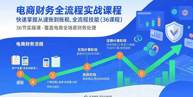 电商财务全流程实战课程：快速掌握从建账到报税的全流程技能(36节课-新时光资源网
