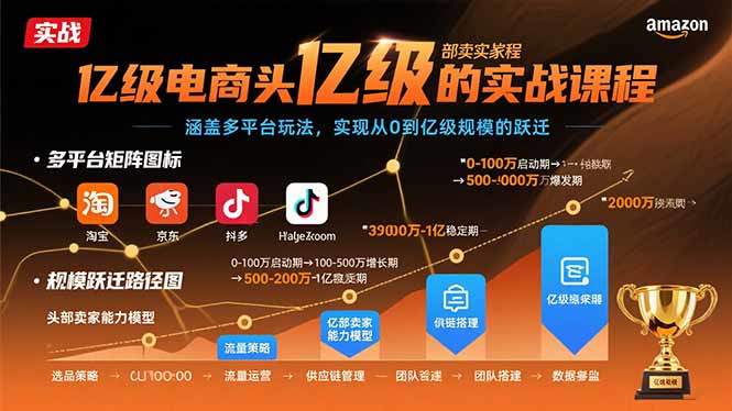 亿级电商头部卖家的实战课程：涵盖多平台玩法，实现从0到亿级规模的跃迁-新时光资源网