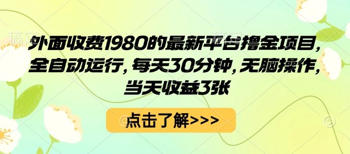 外面收费1980的最新平台撸金项目，全自动运行，每天30分钟，无脑操作，当天收益3张【揭秘】-新时光资源网