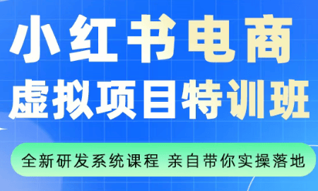 陆明明·小红书虚拟项目特训班(更新9月)-新时光资源网