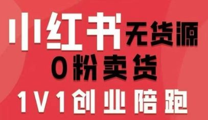 小红书无货源0粉电商课，开店准备、选品策略、笔记撰写、视频剪辑、数据分析、账号打造、资料文档-新时光资源网