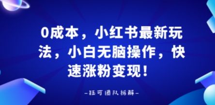 0成本，小红书最新玩法，小白无脑操作，快速涨粉变现-新时光资源网