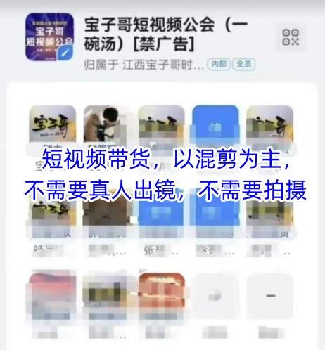 宝子哥头部团队短视频带货，以混剪为主，不需要真人出镜，不需要拍摄【更新9月】-新时光资源网