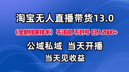 淘宝无人直播13.0，公域私域技术，不封号，不违规布局下半年旺季赛道，日入1K+(独家技术)【揭秘】-新时光资源网