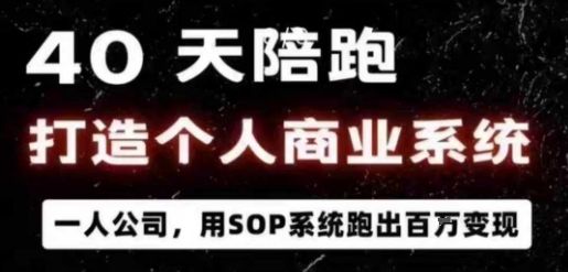 40天陪跑打造个人商业系统，一人公司，用SOP系统跑出百W变现-新时光资源网