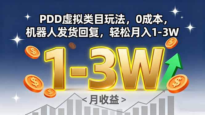 PDD虚拟类目玩法，0成本，机器人发货回复，轻松月入1-3W-新时光资源网