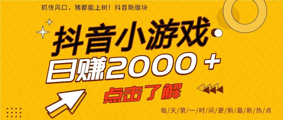 5年爆火的抖音小游戏项目，一部手机日入2000+-新时光资源网