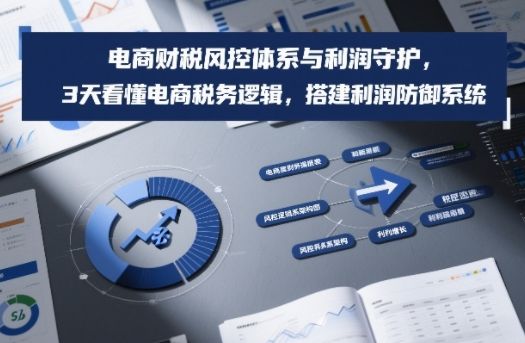 电商财税风控体系与利润守护，3天看懂电商税务逻辑，搭建利润防御系统-新时光资源网