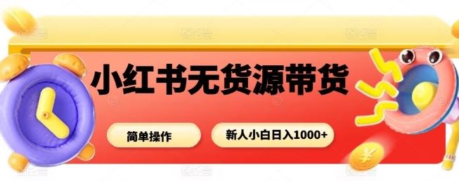小红书无货源带货项目，简单无脑，新人小白日入多张-新时光资源网