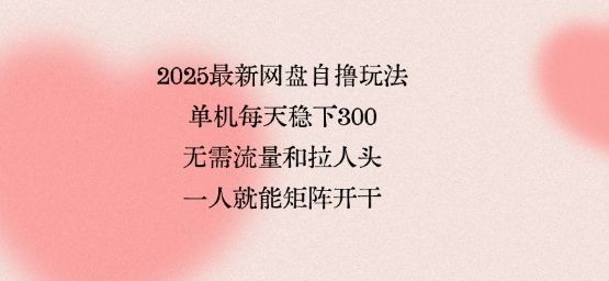 2025最新网盘自撸玩法，单机每天稳下3张，无需流量和拉人头，一个人就可轻松矩阵，全网独一份【揭秘】-新时光资源网