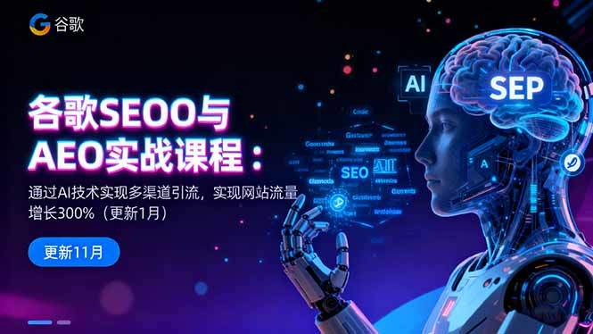 谷歌SEO与AEO实战课程:通过AI技术实现多渠道引流,实现网站流量增长300%-新时光资源网
