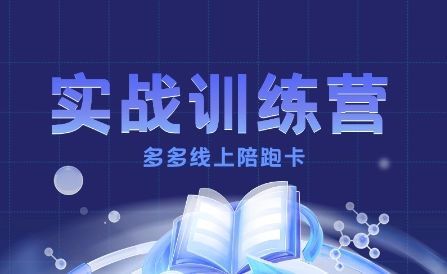 多多实战训练营，从0到1打造一个真正賺钱的店铺-新时光资源网