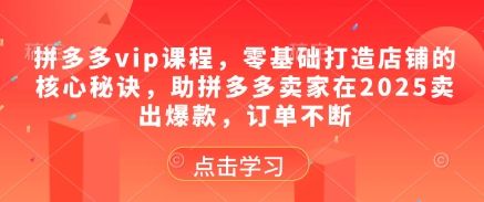 拼多多vip课程，零基础打造店铺的核心秘诀，助拼多多卖家在2025卖出爆款，订单不断-新时光资源网