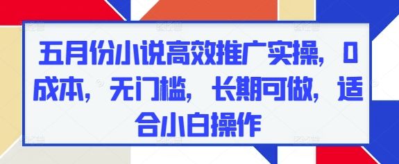 五月份小说高效推广实操，0成本，无门槛，长期可做，适合小白操作-新时光资源网