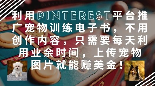 利用Pinterest平台推广宠物训练电子书，不用创作内容，只需要每天利用业余时间，上传宠物图片就能挣美金!-新时光资源网