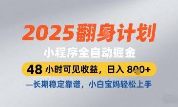 2025小程序全自动掘金，48 小时可见收益，日入8张，长期稳定靠谱，小白宝妈轻松上手【揭秘】-新时光资源网